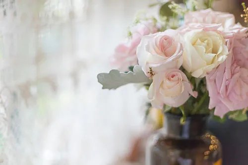 玫瑰花怎么延长保存时间