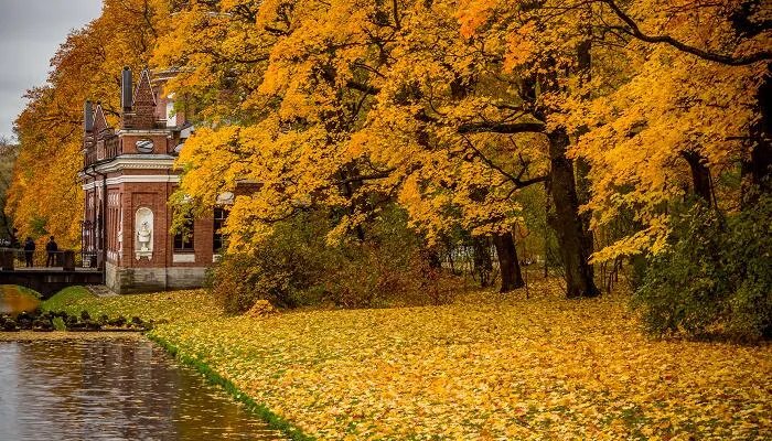 树高百尺落叶归根意思