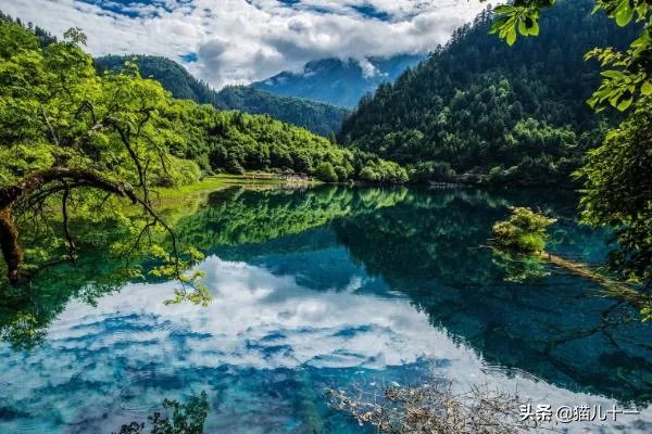 成都到九寨沟乘车方案—从成都到九寨沟怎么走?