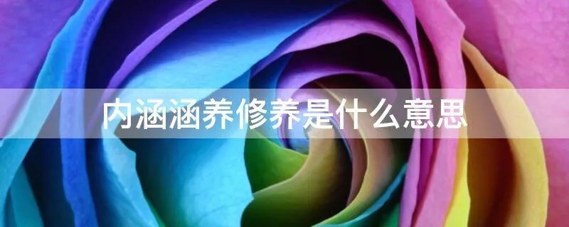 内涵涵养修养是什么意思