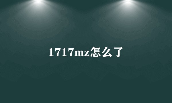 1717mz怎么了
