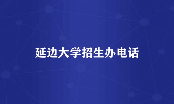 延边大学招生办电话