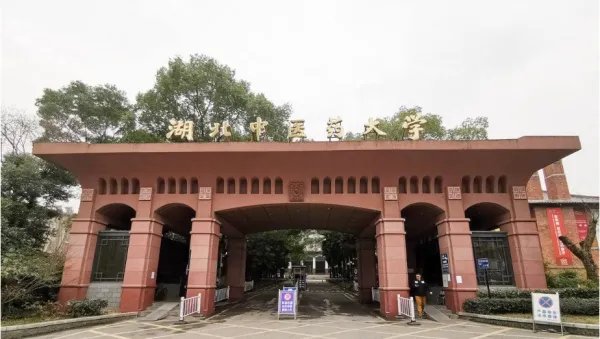 2019年湖北中医药大学录取分数线是多少