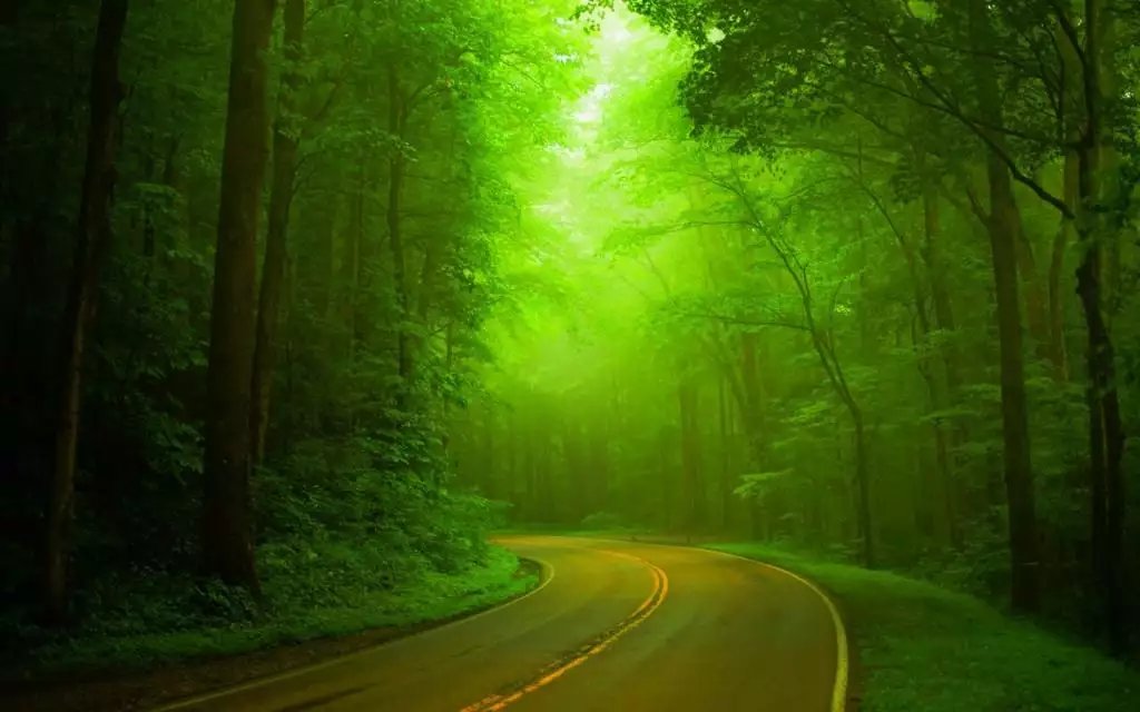 十一月初一出生的女孩什么命,十一月初一出生的人命运如何?