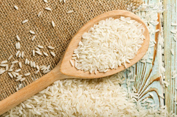 逸致-EZ车主想问一下倒车车载摄像头，不知买什么牌子的好？