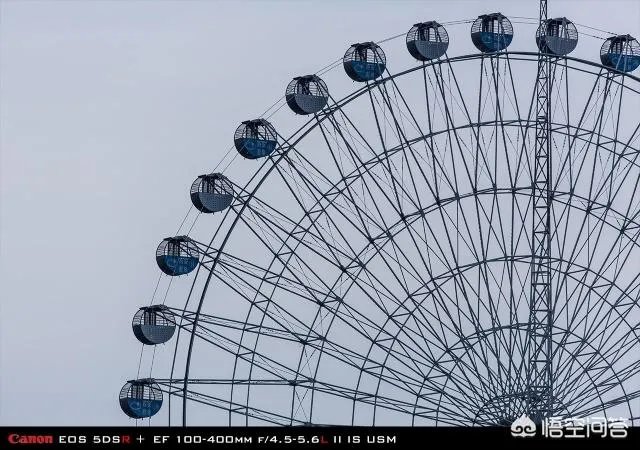 佳能100-400镜头适合拍什么?