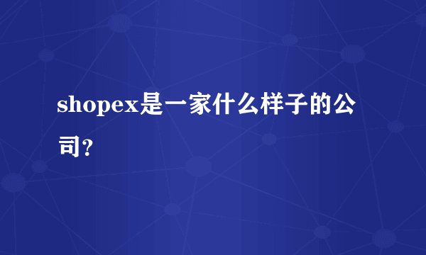 shopex是一家什么样子的公司？