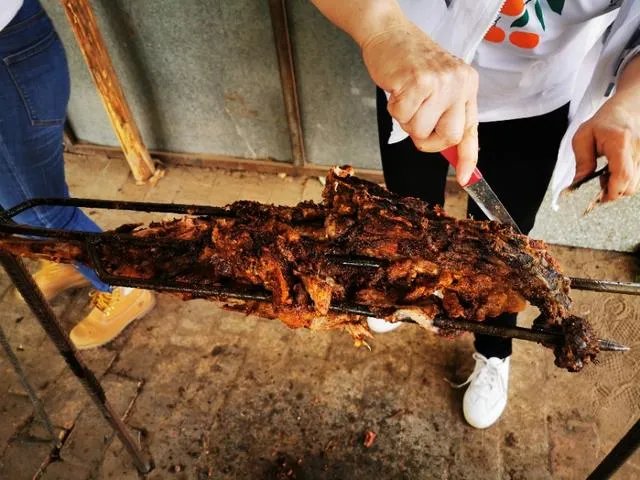 鄂尔多斯哪个草原最值得去