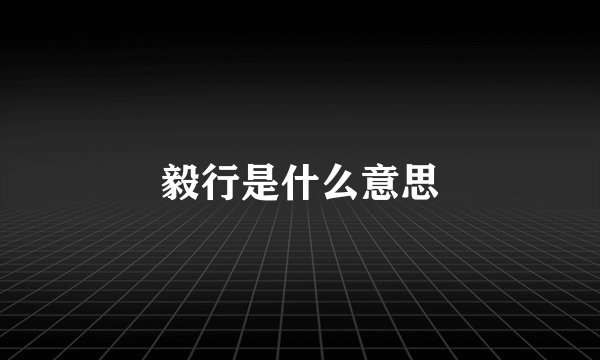 毅行是什么意思