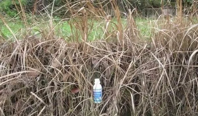 美国禁用草甘膦，大家怎么看待这个事情？