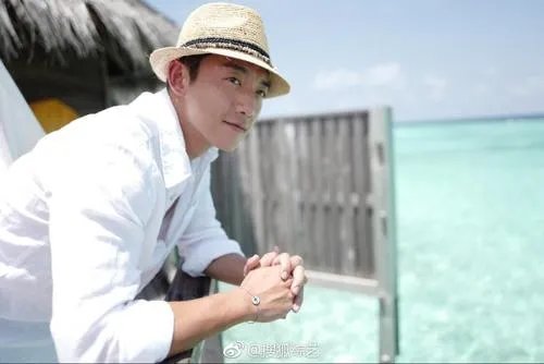 郑恺控股公司被强制执行，执行金额3300万元，究竟为何被强制执行？