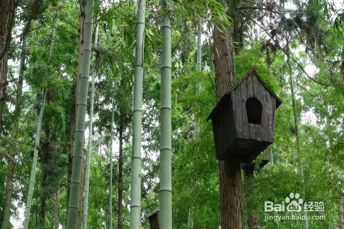 去湖州必游的十大景点都是哪里？