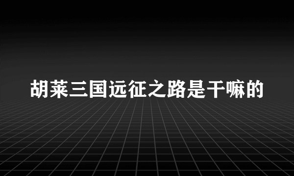 胡莱三国远征之路是干嘛的