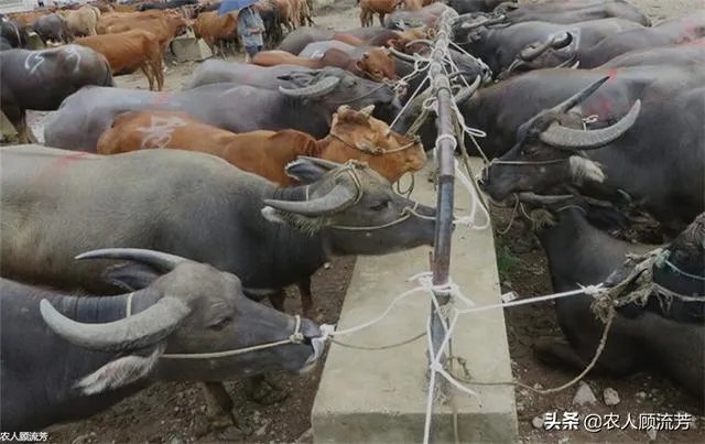 你认为中央电视台的《致富经》能让人致富吗？