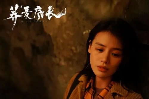 《荞麦疯长》讲的是什么故事?