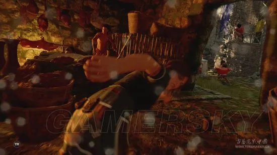 《古墓丽影暗影》图文攻略 全收集流程图文攻略