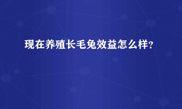 现在养殖长毛兔效益怎么样？