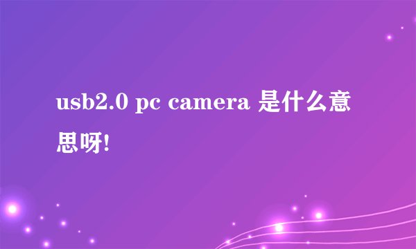 usb2.0 pc camera 是什么意思呀!