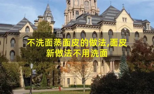 不洗面蒸面皮的做法,面皮新做法不用洗面