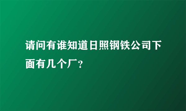 请问有谁知道日照钢铁公司下面有几个厂？
