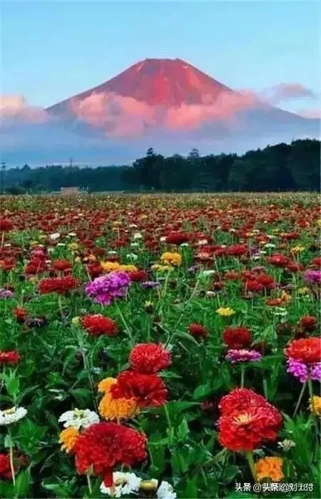 今年春晚你们有什么期待的吗？比如说赵本山会上吗？