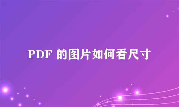 PDF 的图片如何看尺寸