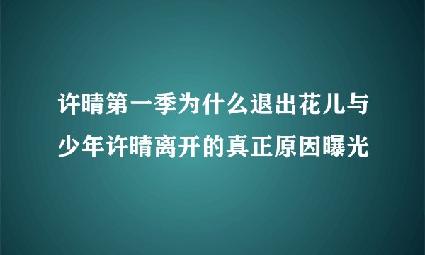 许晴第一季为什么退出花儿与少年许晴离开的真正原因曝光