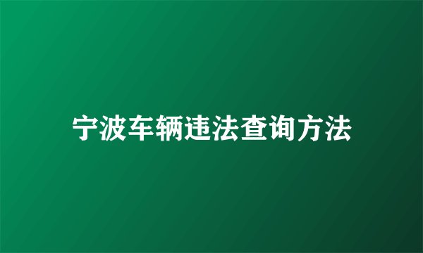 宁波车辆违法查询方法