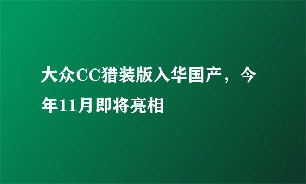 大众CC猎装版入华国产，今年11月即将亮相
