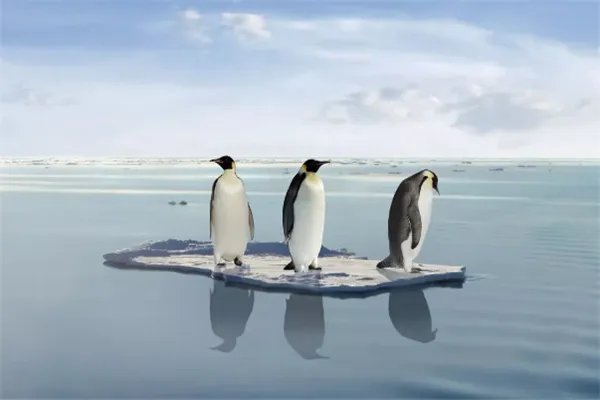 2020年将为有记录以来最暖年份之一，你认为天气变暖的原因都有什么？