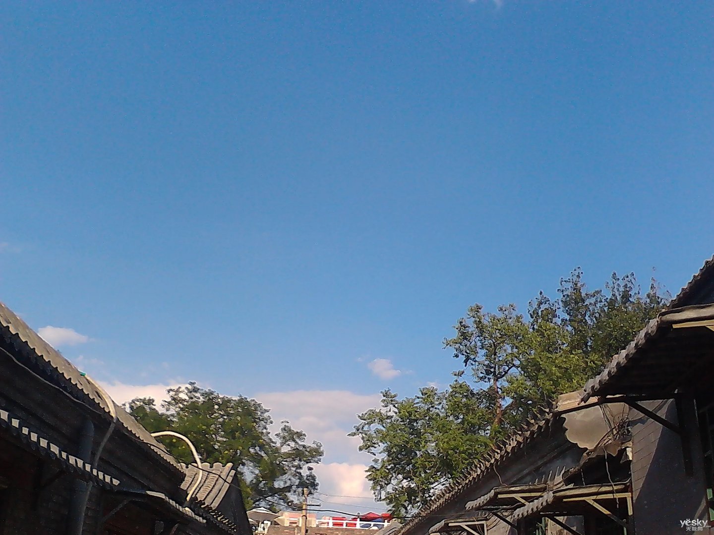 no1手机官网(noerden官网)