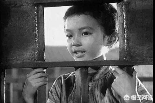 方舒为什么不演电影了呢？