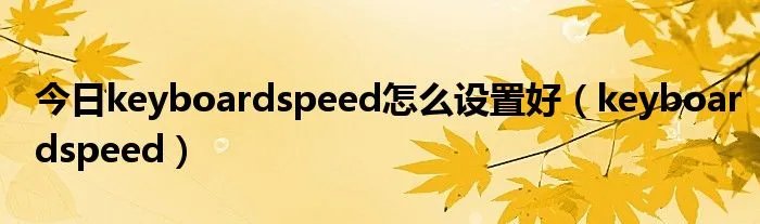 今日keyboardspeed怎么设置好（keyboardspeed）