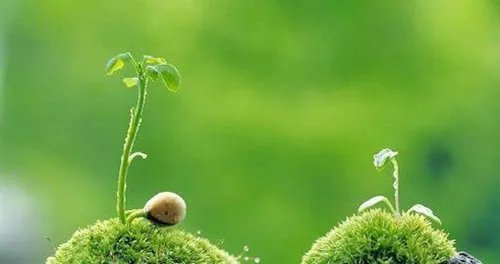 健康生活小窍门2018  生活中的小窍门有哪些