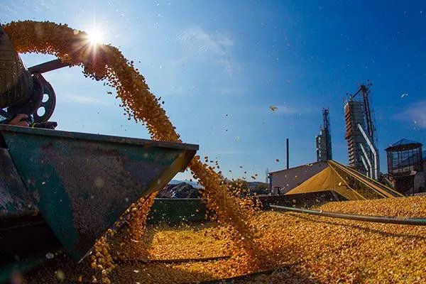 我国粮食生产实现“十七连丰”，对此你怎么看？