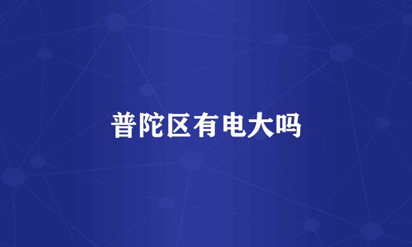 普陀区有电大吗