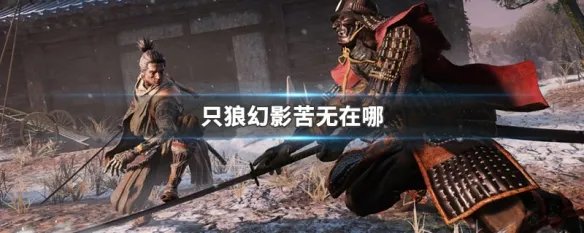 只狼幻影苦无在哪