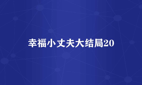 幸福小丈夫大结局20