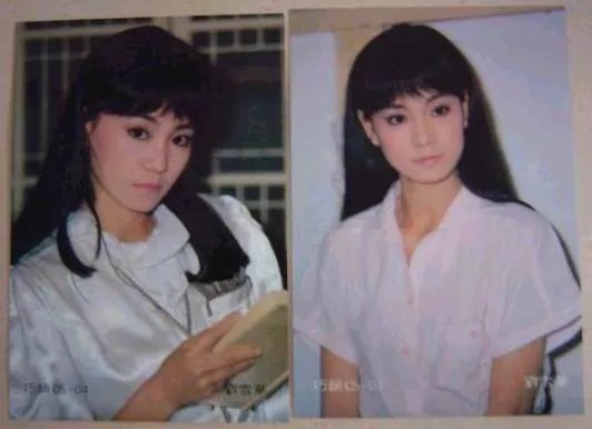 刘雪华老公坠楼身亡 琼瑶女郎委婉家居照盘点