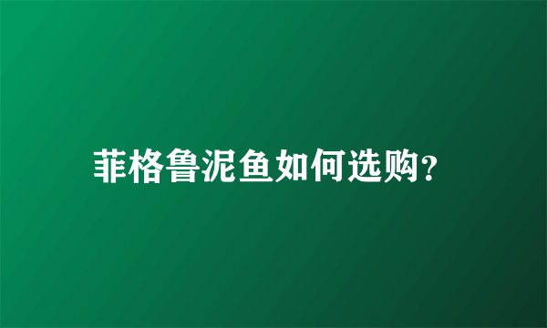 菲格鲁泥鱼如何选购？