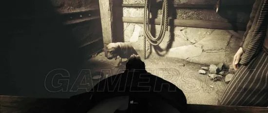 《德军总部2》图文攻略 全收集流程图文攻略