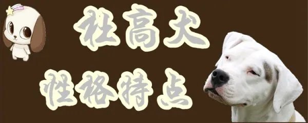 杜高犬性格特点是什么