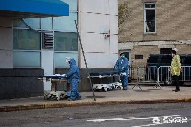 桑德斯退选意味着什么？