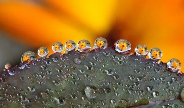 婆媳两个人能相聚在一起也是缘，怎样不做一个难缠的婆婆？