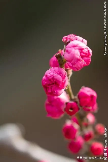 上大学，是理想的天堂，也是恋爱的天堂吗？