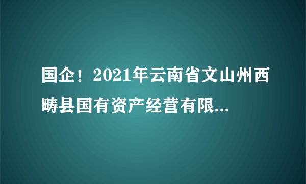 国企！2021年云南省文山州西畴县国有资产经营有限责任公司人才招聘