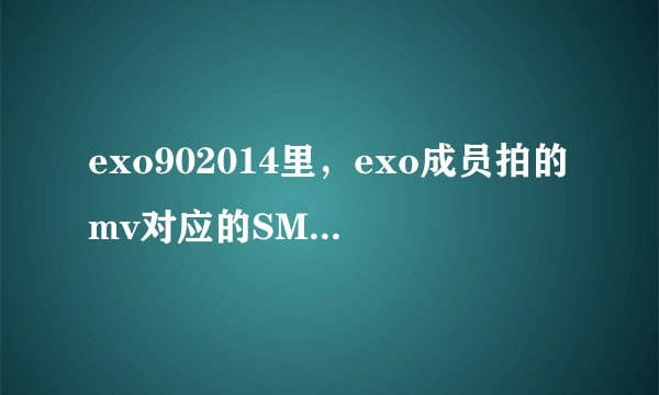 exo902014里,exo成员拍的mv对应的SMrookies成员分别都是些谁啊