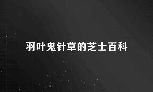 羽叶鬼针草的芝士百科