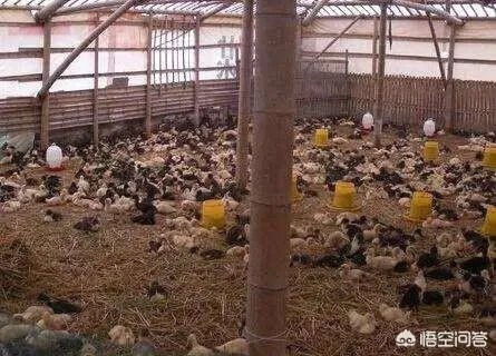 你认为中央电视台的《致富经》能让人致富吗？