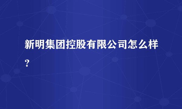 新明集团控股有限公司怎么样？